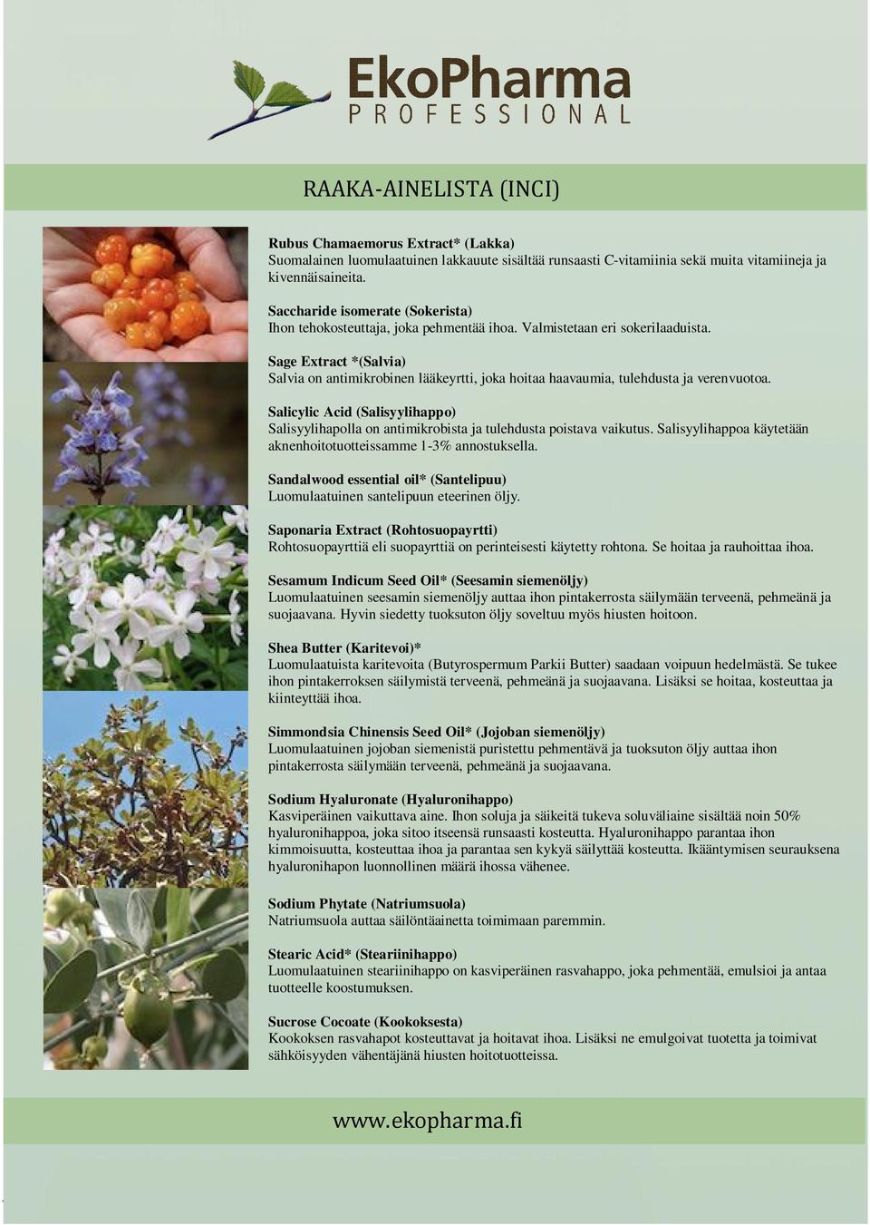 Sage Extract *(Salvia) Salvia on antimikrobinen lääkeyrtti, joka hoitaa haavaumia, tulehdusta ja verenvuotoa.