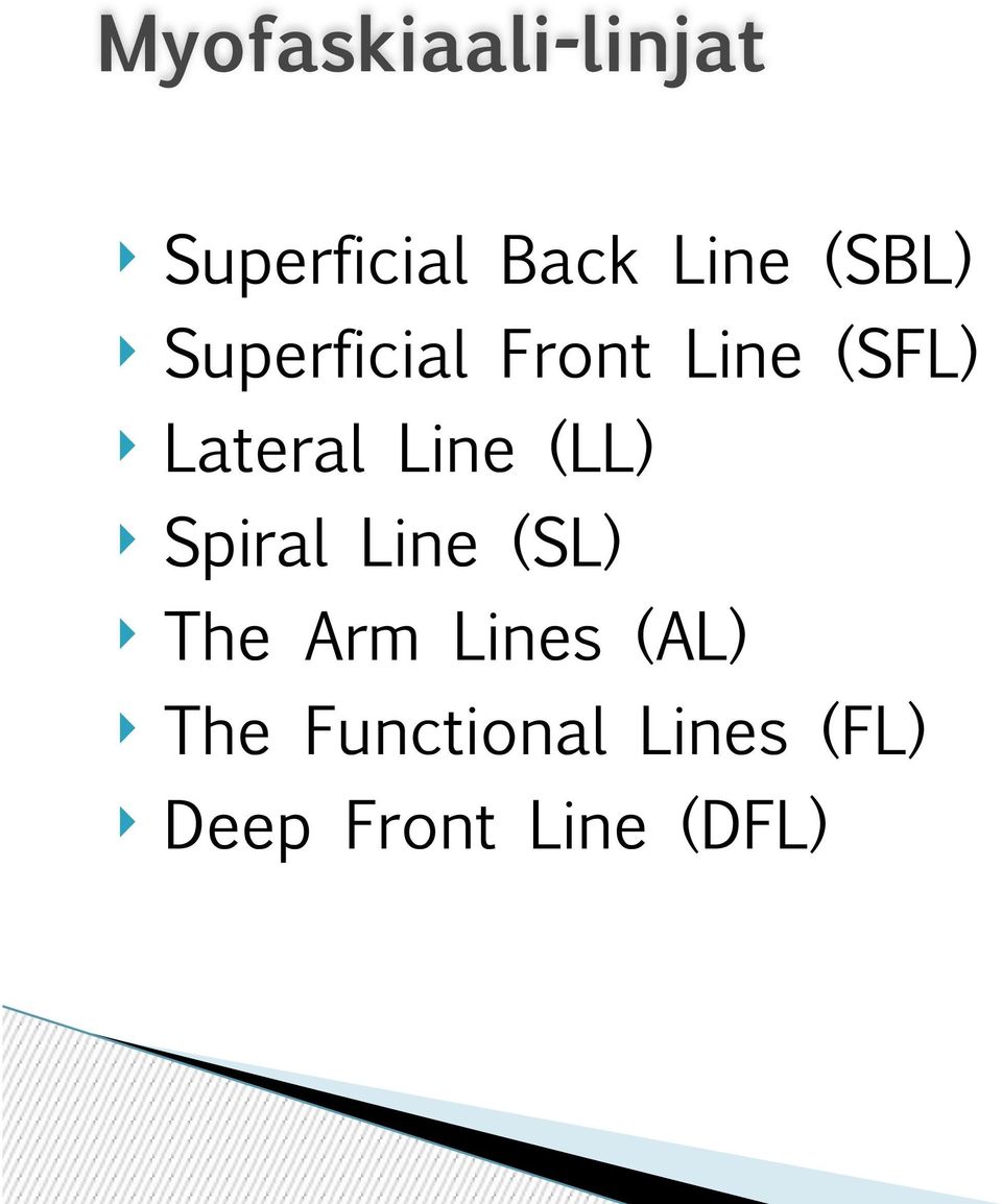 Line (LL) Spiral Line (SL) The Arm Lines