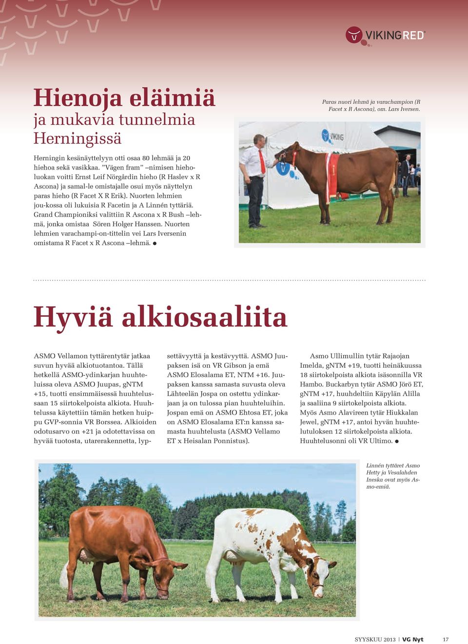 Nuorten lehmien jou-kossa oli lukuisia R Facetin ja A Linnén tyttäriä. Grand Championiksi valittiin R Ascona x R Bush lehmä, jonka omistaa Sören Holger Hanssen.