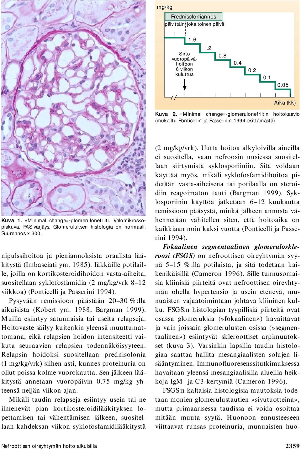 Glomeruluksen histologia on normaali. Suurennos x 300. nipulssihoitoa ja pieniannoksista oraalista lääkitystä (Imbasciati ym. 1985).