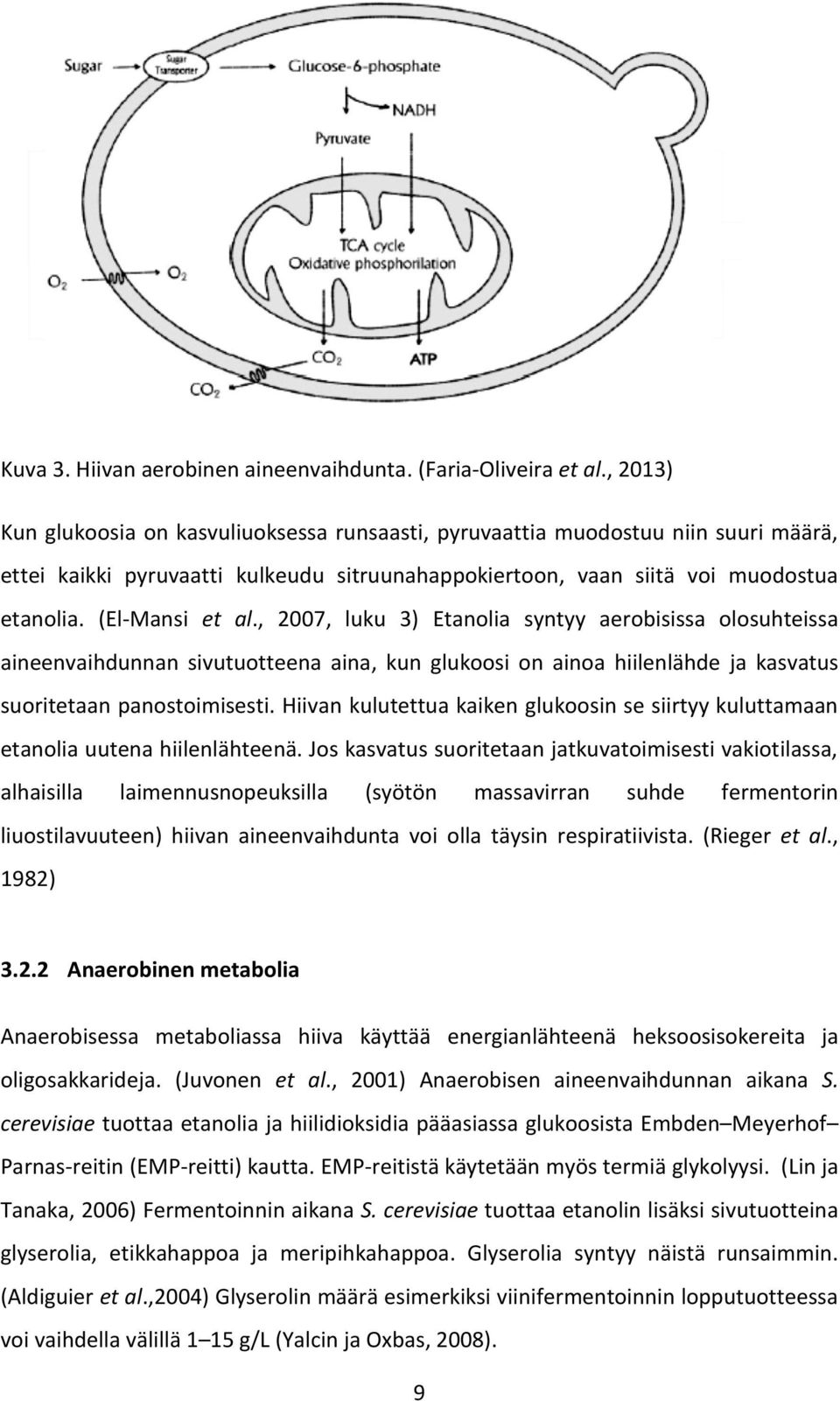 , 2007, luku 3) Etanolia syntyy aerobisissa olosuhteissa aineenvaihdunnan sivutuotteena aina, kun glukoosi on ainoa hiilenlähde ja kasvatus suoritetaan panostoimisesti.