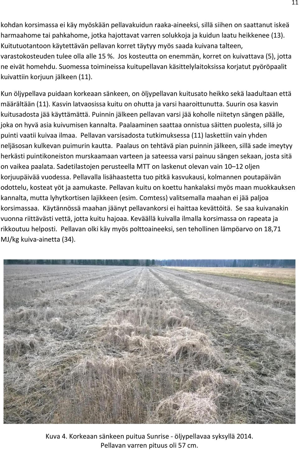 Suomessa toimineissa kuitupellavan käsittelylaitoksissa korjatut pyöröpaalit kuivattiin korjuun jälkeen (11).
