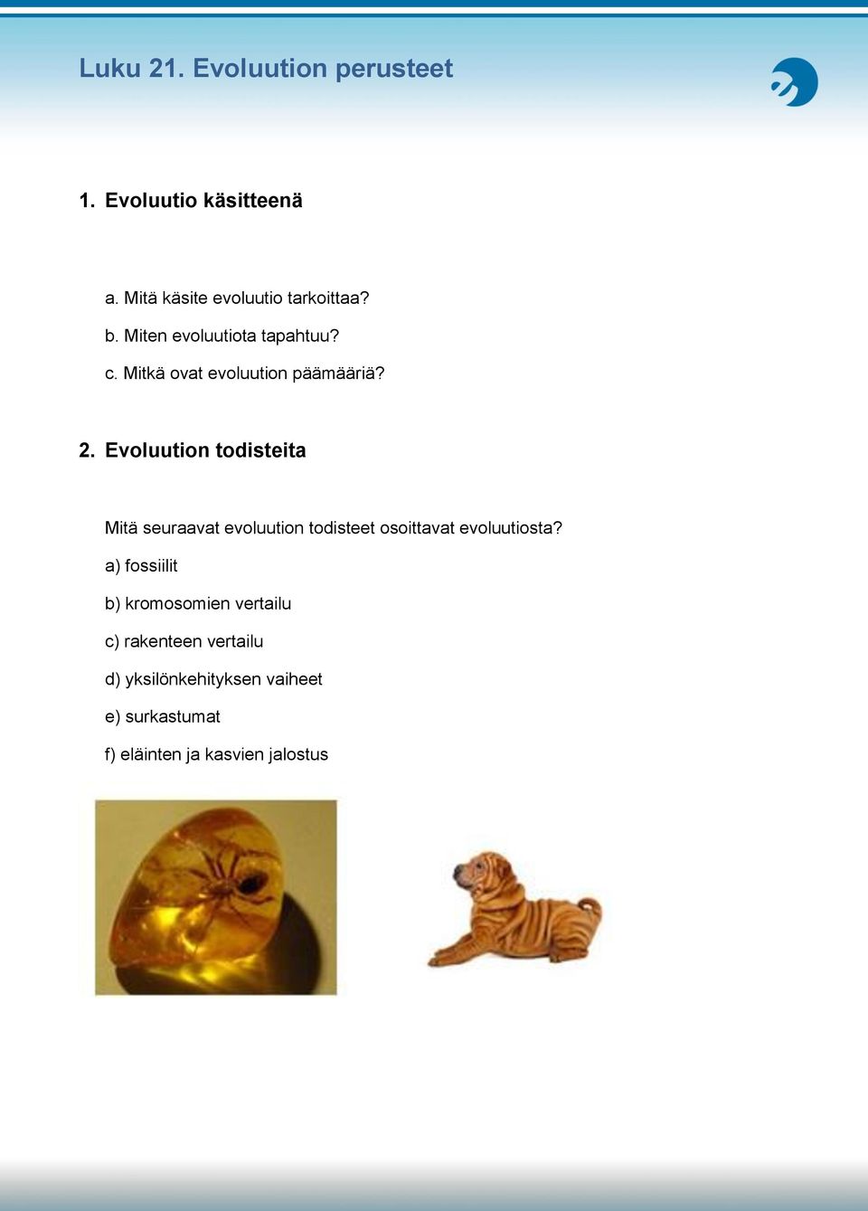 Evoluution todisteita Mitä seuraavat evoluution todisteet osoittavat evoluutiosta?