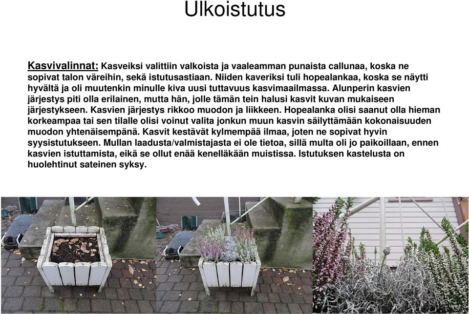 Alunperin kasvien järjestys piti olla erilainen, mutta hän, jolle tämän tein halusi kasvit kuvan mukaiseen järjestykseen. Kasvien järjestys rikkoo muodon ja liikkeen.