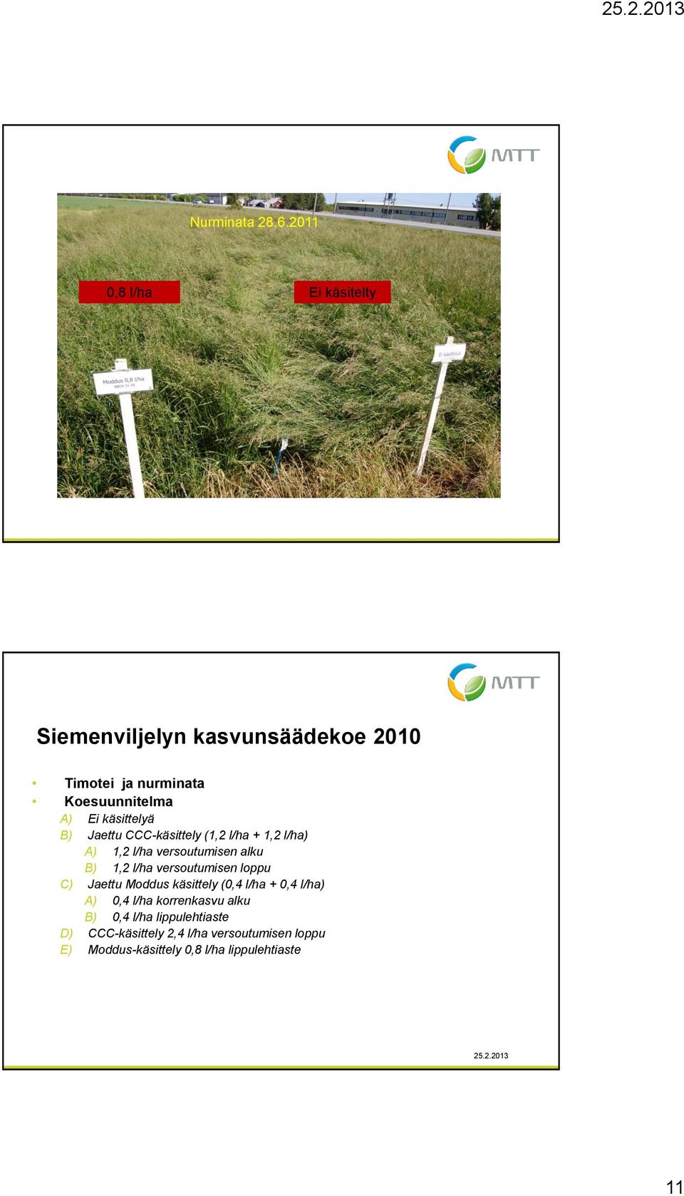 B) Jaettu CCC-käsittely (1,2 l/ha + 1,2 l/ha) A) 1,2 l/ha versoutumisen alku B) 1,2 l/ha versoutumisen loppu