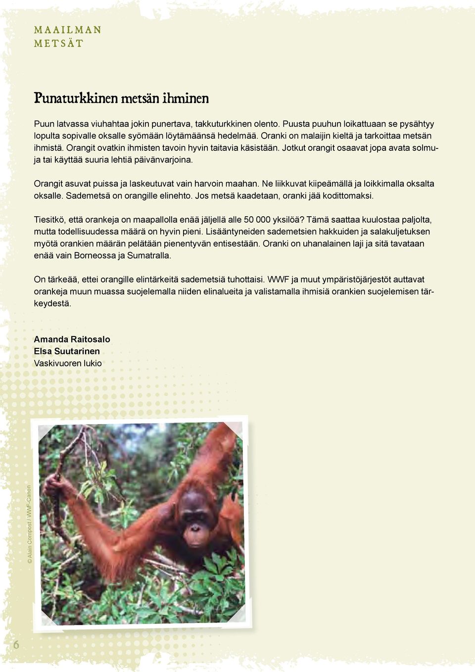Orangit ovatkin ihmisten tavoin hyvin taitavia käsistään. Jotkut orangit osaavat jopa avata solmuja tai käyttää suuria lehtiä päivänvarjoina. Orangit asuvat puissa ja laskeutuvat vain harvoin maahan.
