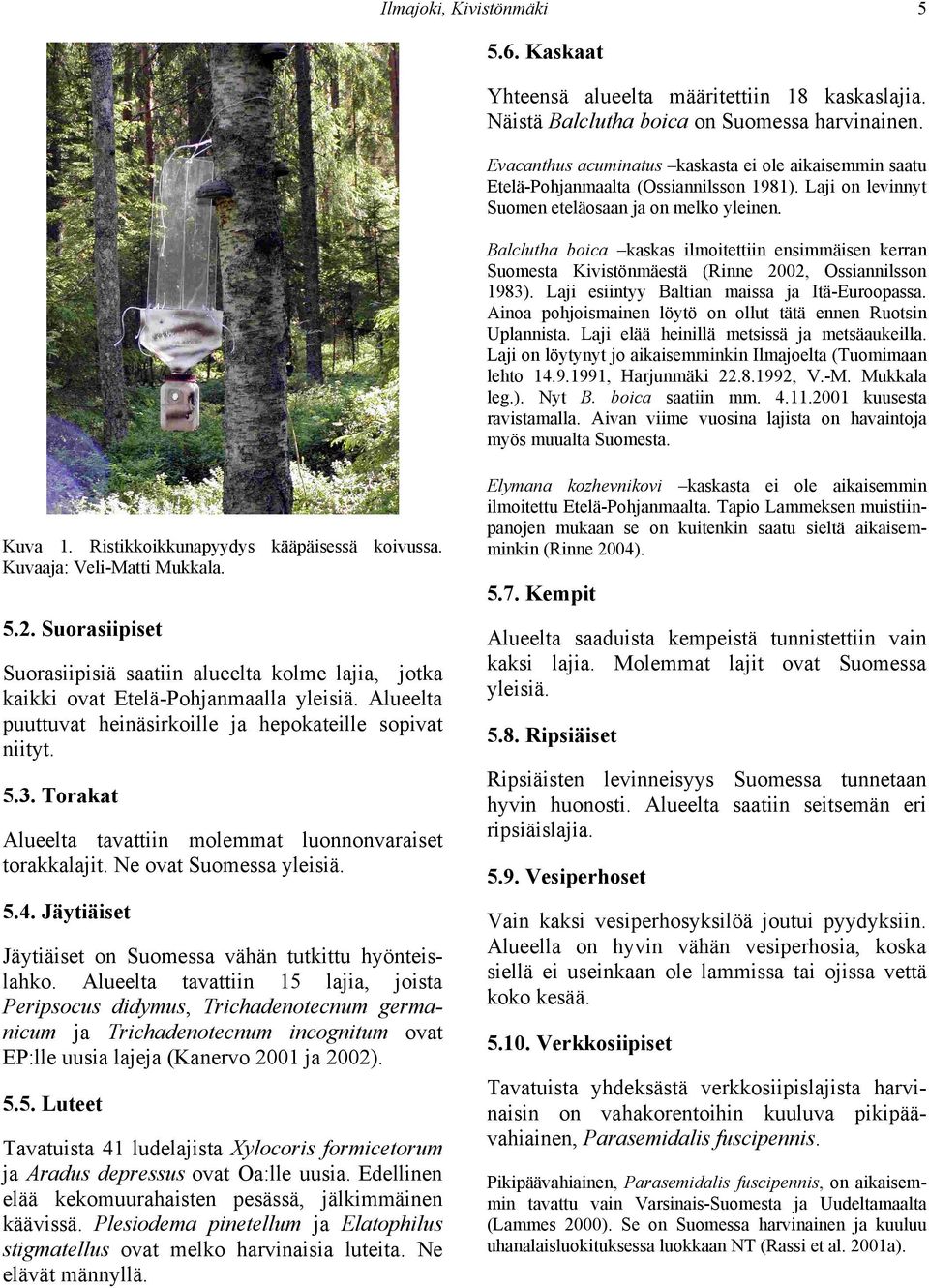 Balclutha boica kaskas ilmoitettiin ensimmäisen kerran Suomesta Kivistönmäestä (Rinne 2002, Ossiannilsson 1983). Laji esiintyy Baltian maissa ja Itä-Euroopassa.
