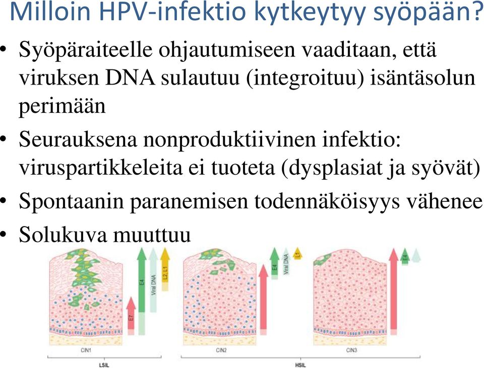 (integroituu) isäntäsolun perimään Seurauksena nonproduktiivinen infektio: