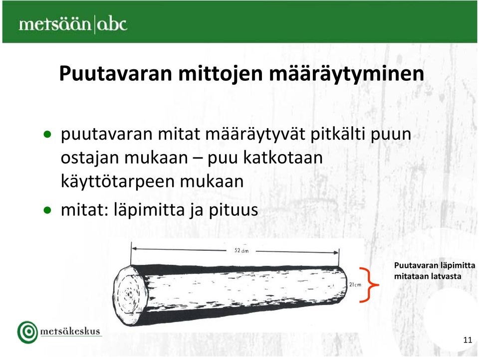 puu katkotaan käyttötarpeen mukaan mitat: