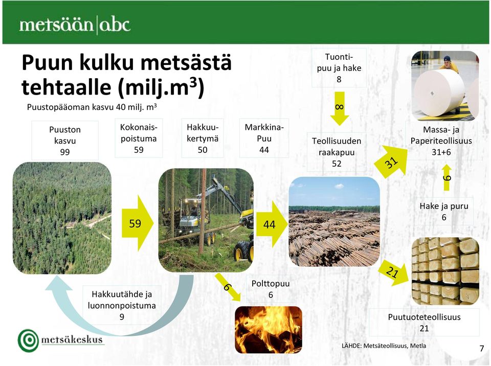 Markkina Puu 44 Teollisuuden raakapuu 52 31 Massa ja Paperiteollisuus 31+6 6 59 44 Hake