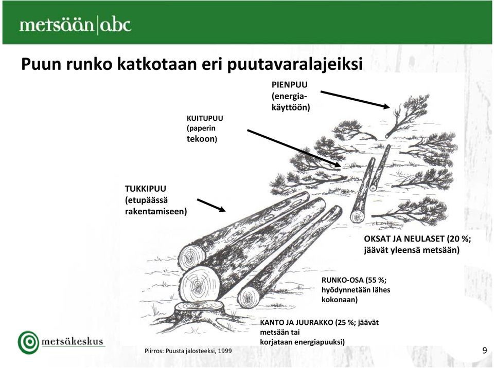 jäävät yleensä metsään) RUNKO OSA (55 %; hyödynnetään lähes kokonaan) Piirros: