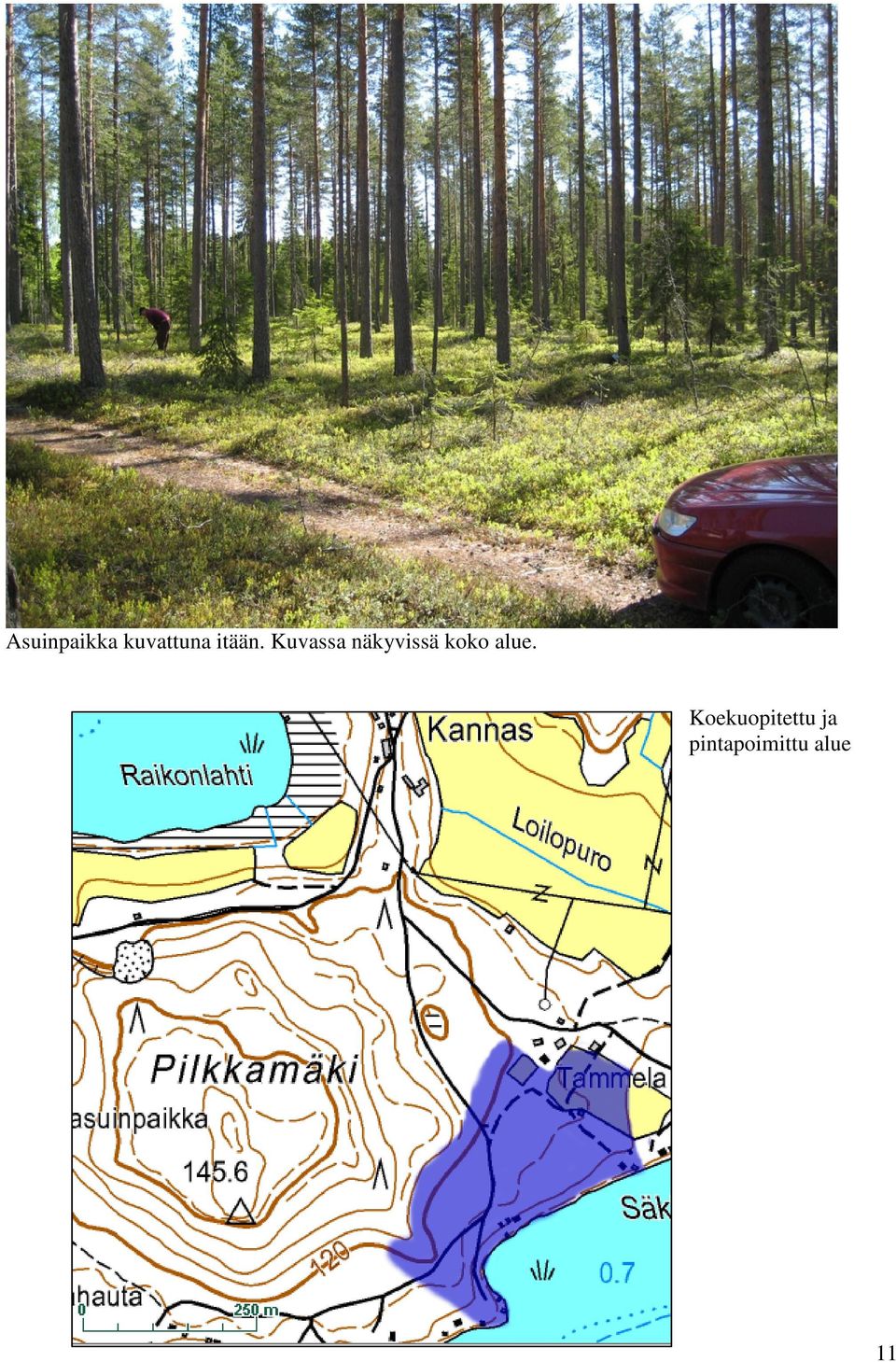 Kuvassa näkyvissä koko