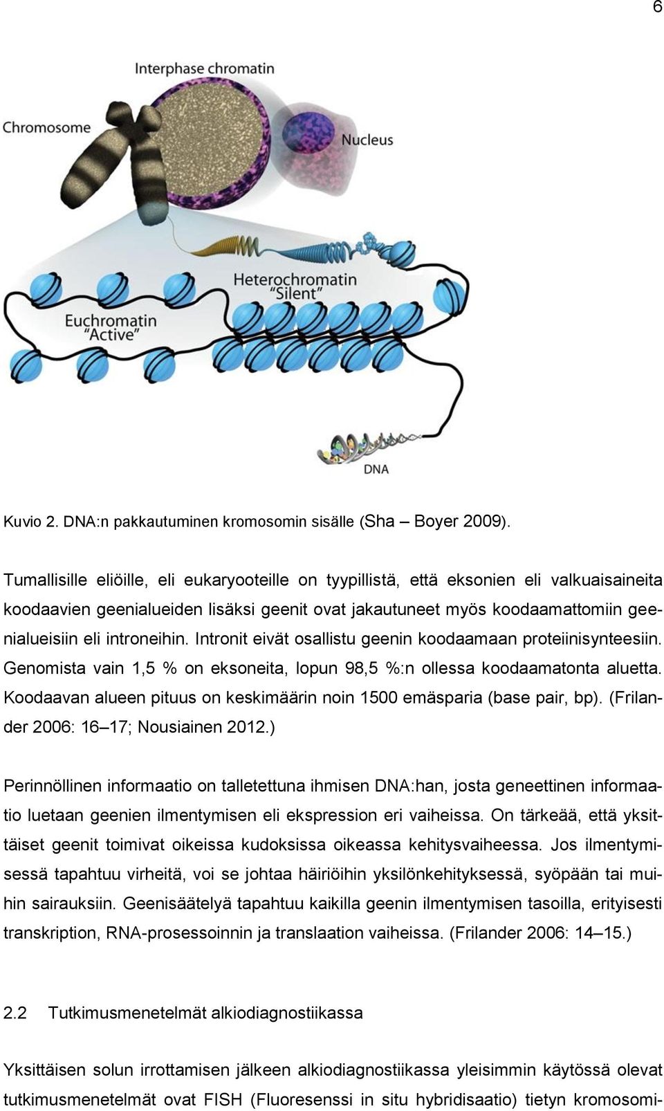 introneihin. Intronit eivät osallistu geenin koodaamaan proteiinisynteesiin. Genomista vain 1,5 % on eksoneita, lopun 98,5 %:n ollessa koodaamatonta aluetta.