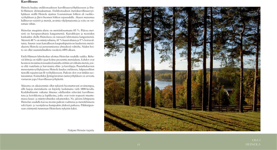 Alueen maisemaa hallitsevat vesistöt ja metsät, avoimia viljelymaisemia ja soita on verrattain vähän. Maija Rautamäki Heinolan maapinta-alasta on metsätalousmaata 83 %.