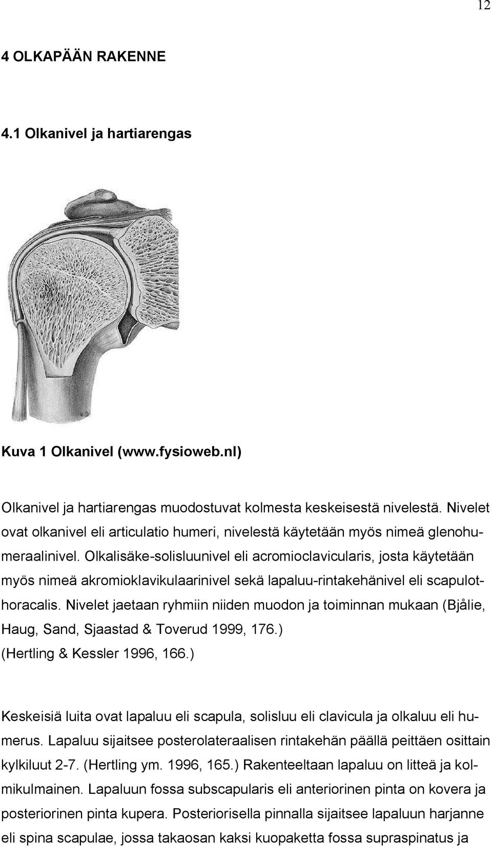 Olkalisäke-solisluunivel eli acromioclavicularis, josta käytetään myös nimeä akromioklavikulaarinivel sekä lapaluu-rintakehänivel eli scapulothoracalis.