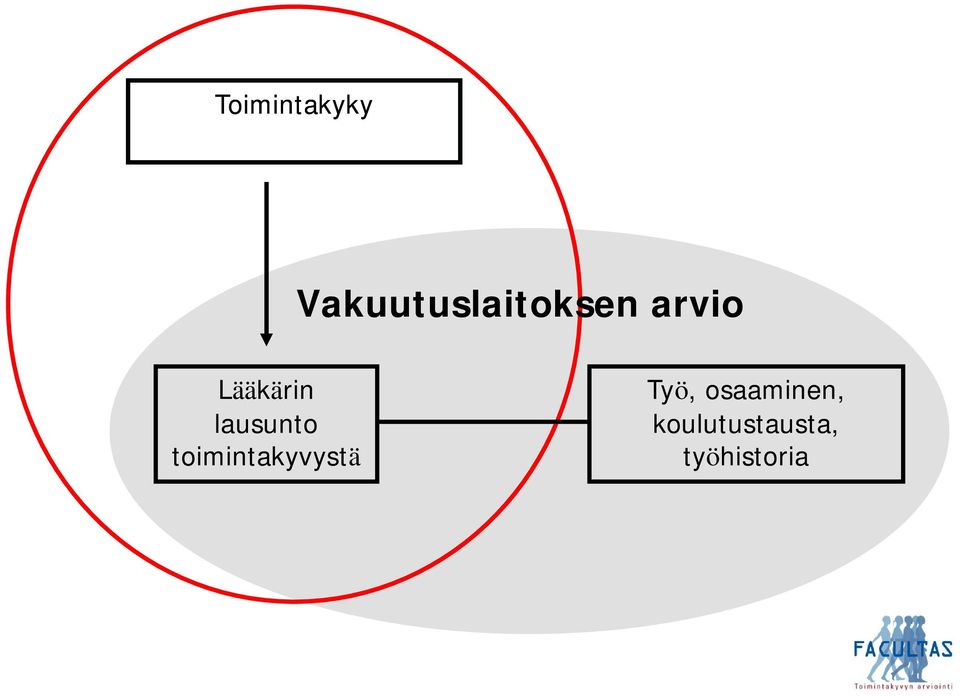 Lääkärin lausunto