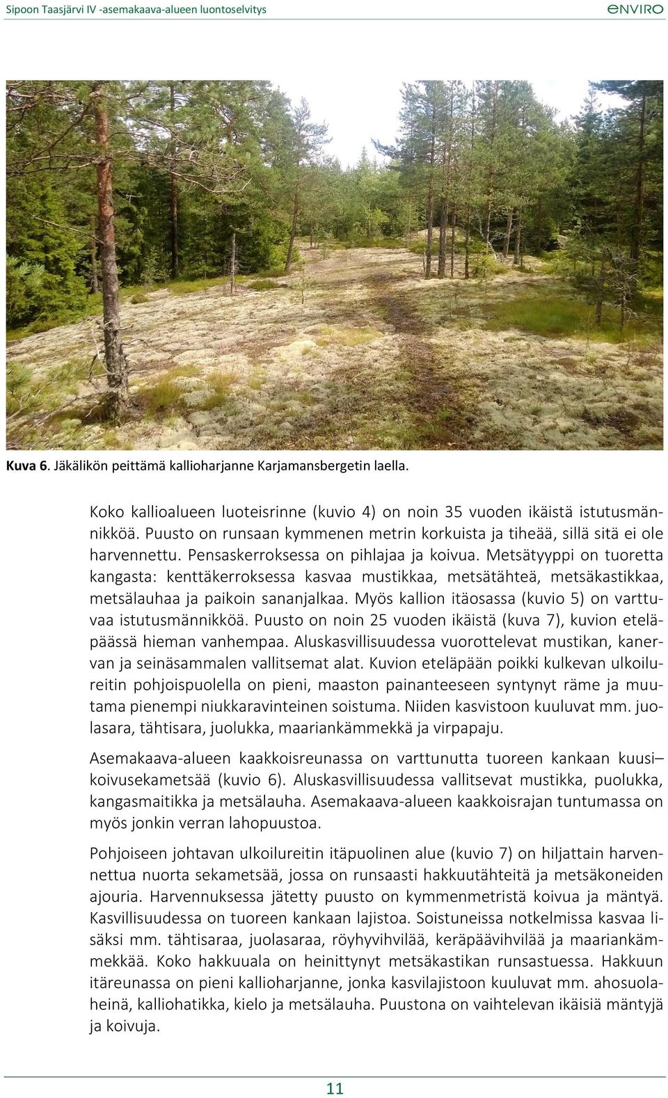 Metsätyyppi on tuoretta kangasta: kenttäkerroksessa kasvaa mustikkaa, metsätähteä, metsäkastikkaa, metsälauhaa ja paikoin sananjalkaa. Myös kallion itäosassa (kuvio 5) on varttuvaa istutusmännikköä.