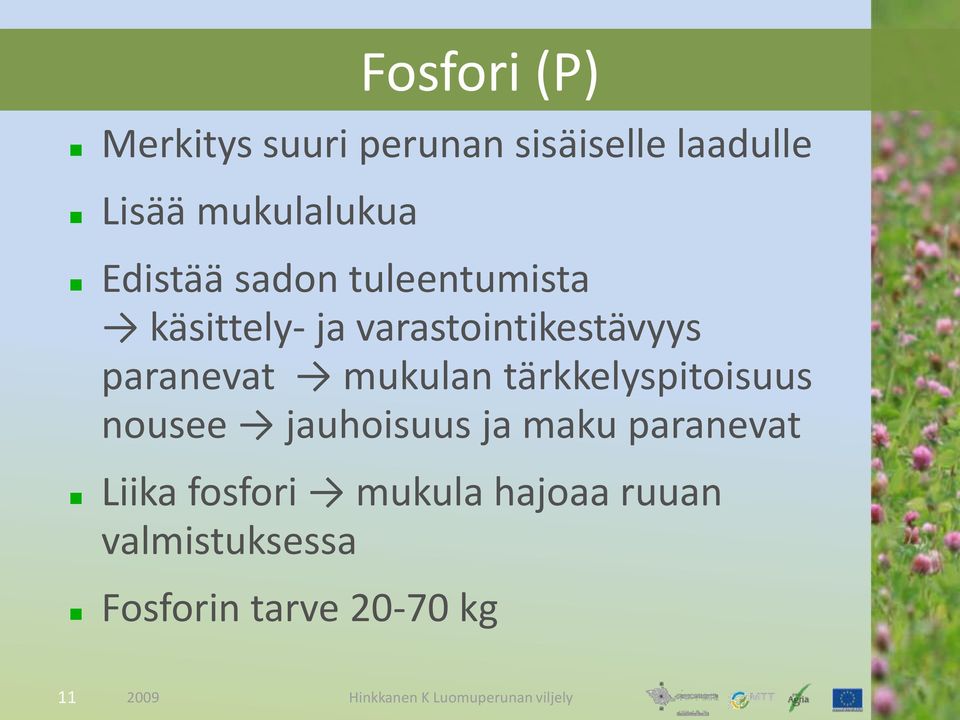 varastointikestävyys paranevat mukulan tärkkelyspitoisuus nousee