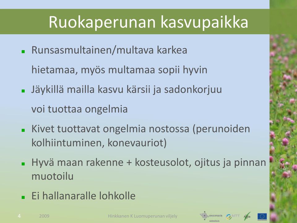 Kivet tuottavat ongelmia nostossa (perunoiden ( konevauriot kolhiintuminen,