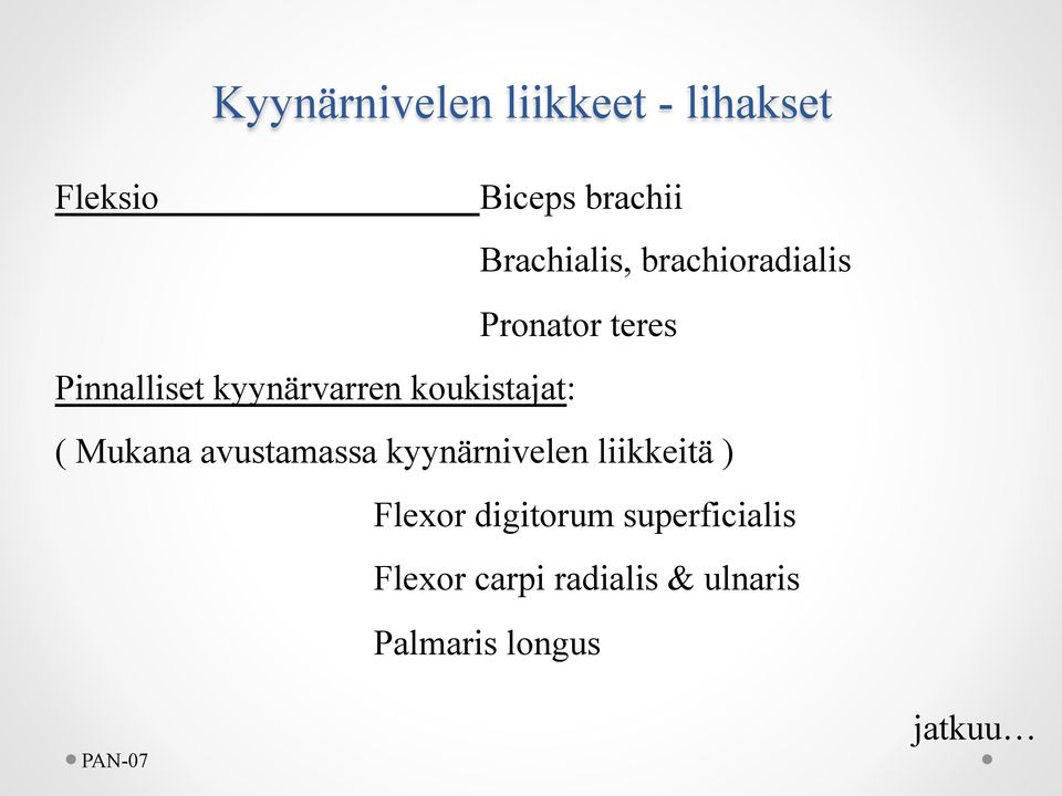 ( Mukana avustamassa kyynärnivelen liikkeitä ) Flexor digitorum