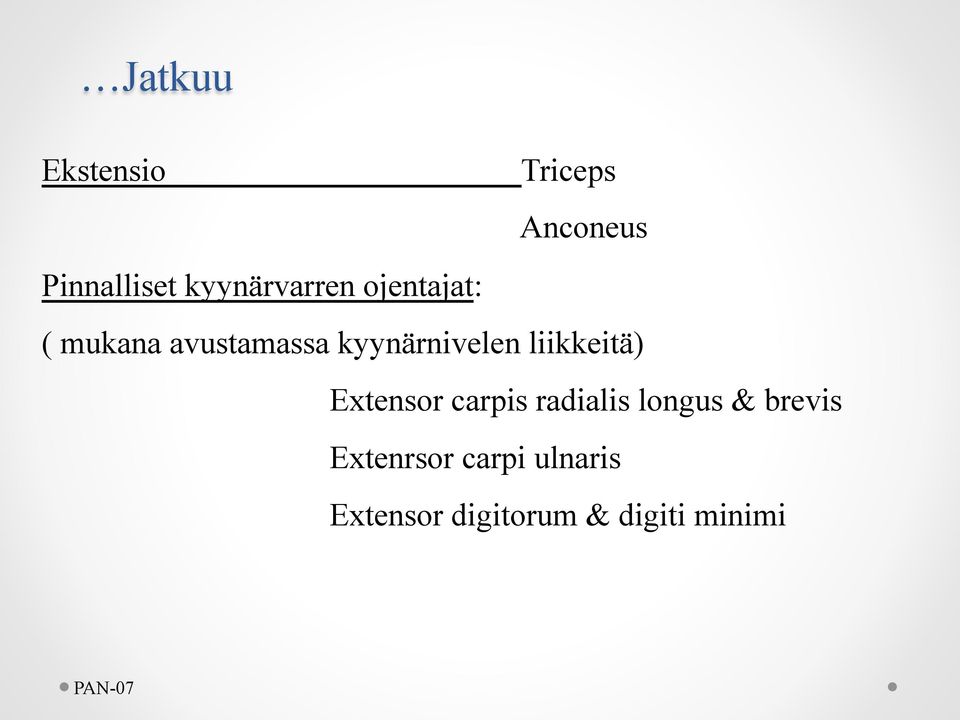 kyynärnivelen liikkeitä) Extensor carpis radialis