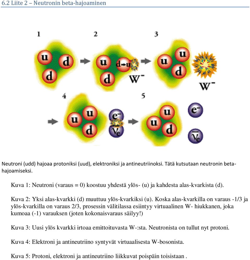 Koska alas-kvarkilla on varaus -1/3 ja ylös-kvarkilla on varaus 2/3, prosessin välitilassa esiintyy virtuaalinen W- hiukkanen, joka kumoaa (-1) varauksen (joten kokonaisvaraus