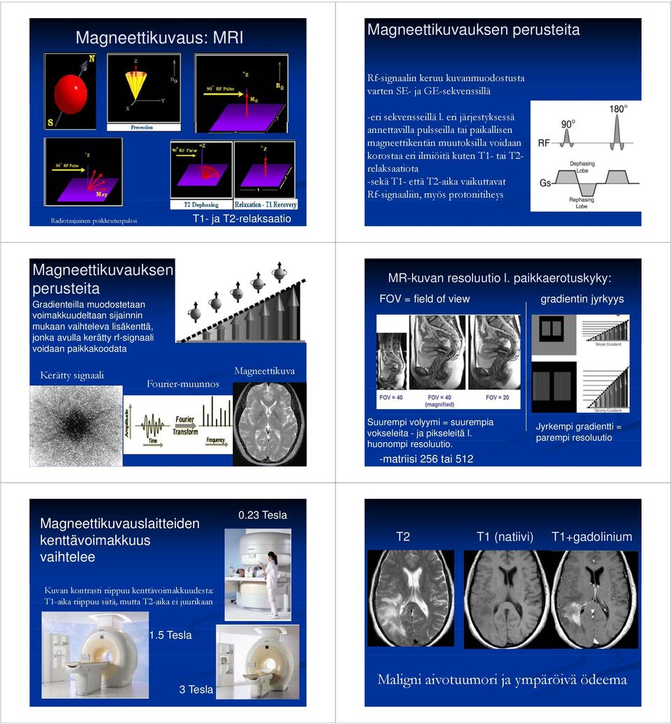 Rf-signaaliin, myös protonitiheys Radiotaajuinen poikkeutuspulssi T1- ja T2-relaksaatio Magneettikuvauksen perusteita Gradienteilla muodostetaan voimakkuudeltaan sijainnin mukaan vaihteleva