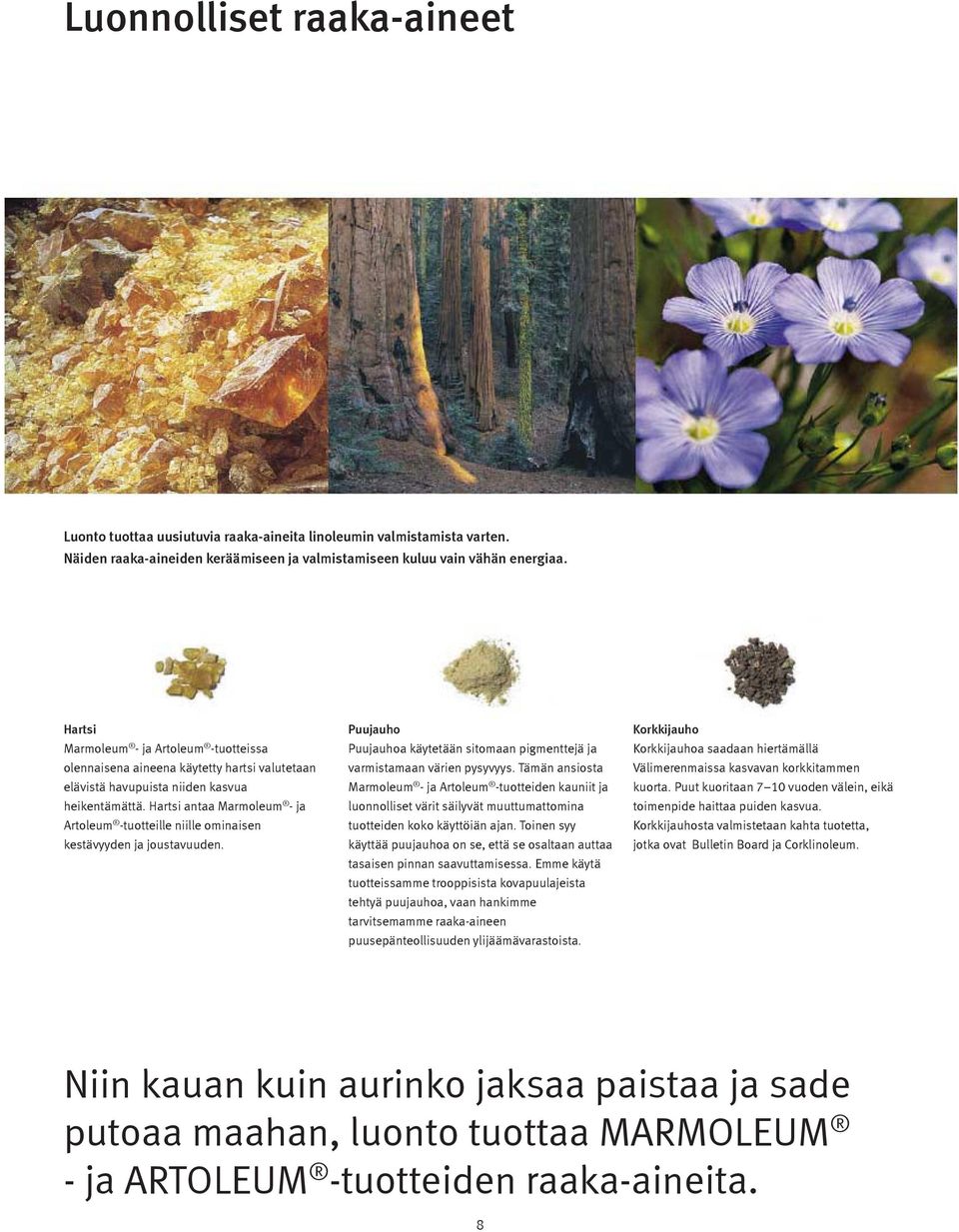 Hartsi antaa Marmoleum - ja Artoleum -tuotteille niille ominaisen kestävyyden ja joustavuuden. Puujauho Puujauhoa käytetään sitomaan pigmenttejä ja varmistamaan värien pysyvyys.
