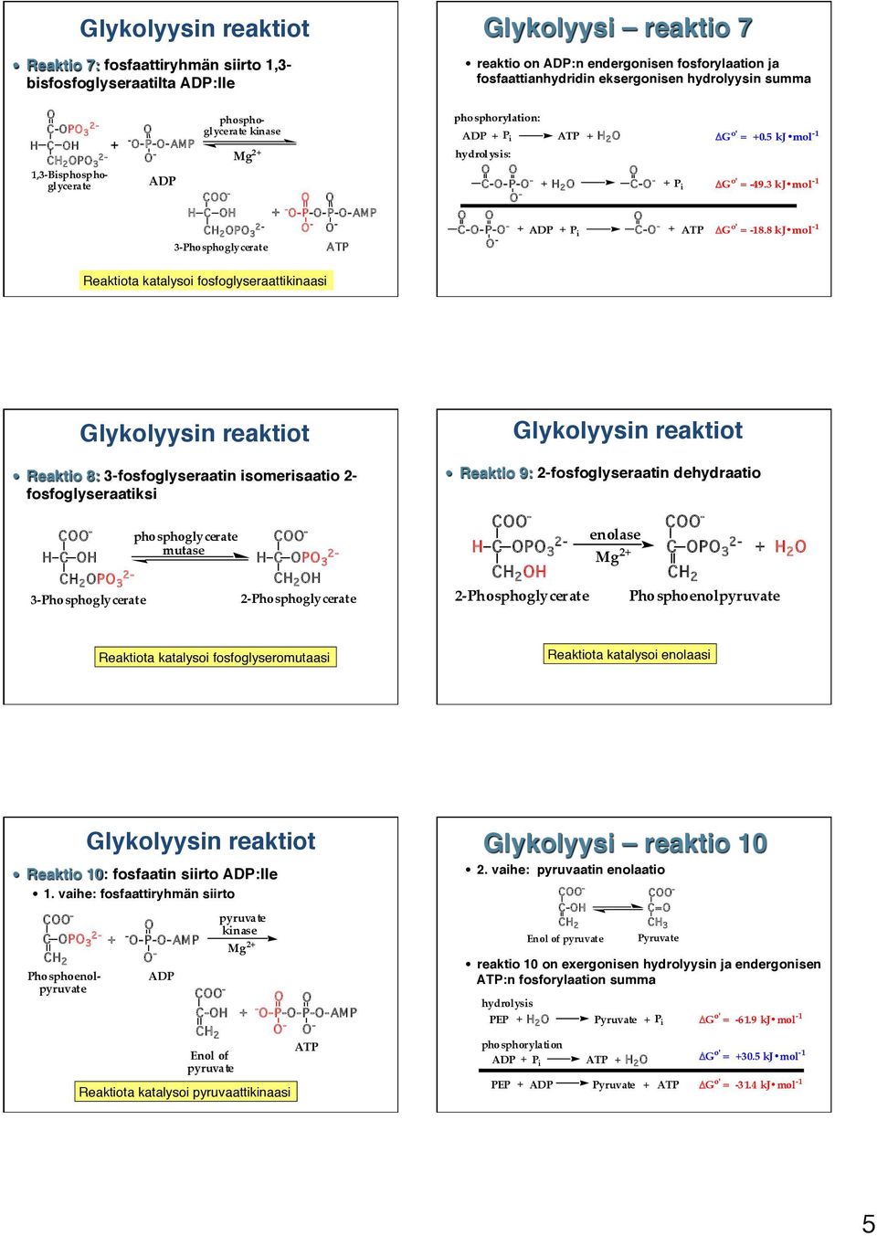 --P- - - ATP + 2 - - + ADP + P i - - + P i + ATP ΔG o' = +0.5 kj mol -1 ΔG o' = -49.3 kj mol -1 ΔG o' = -18.
