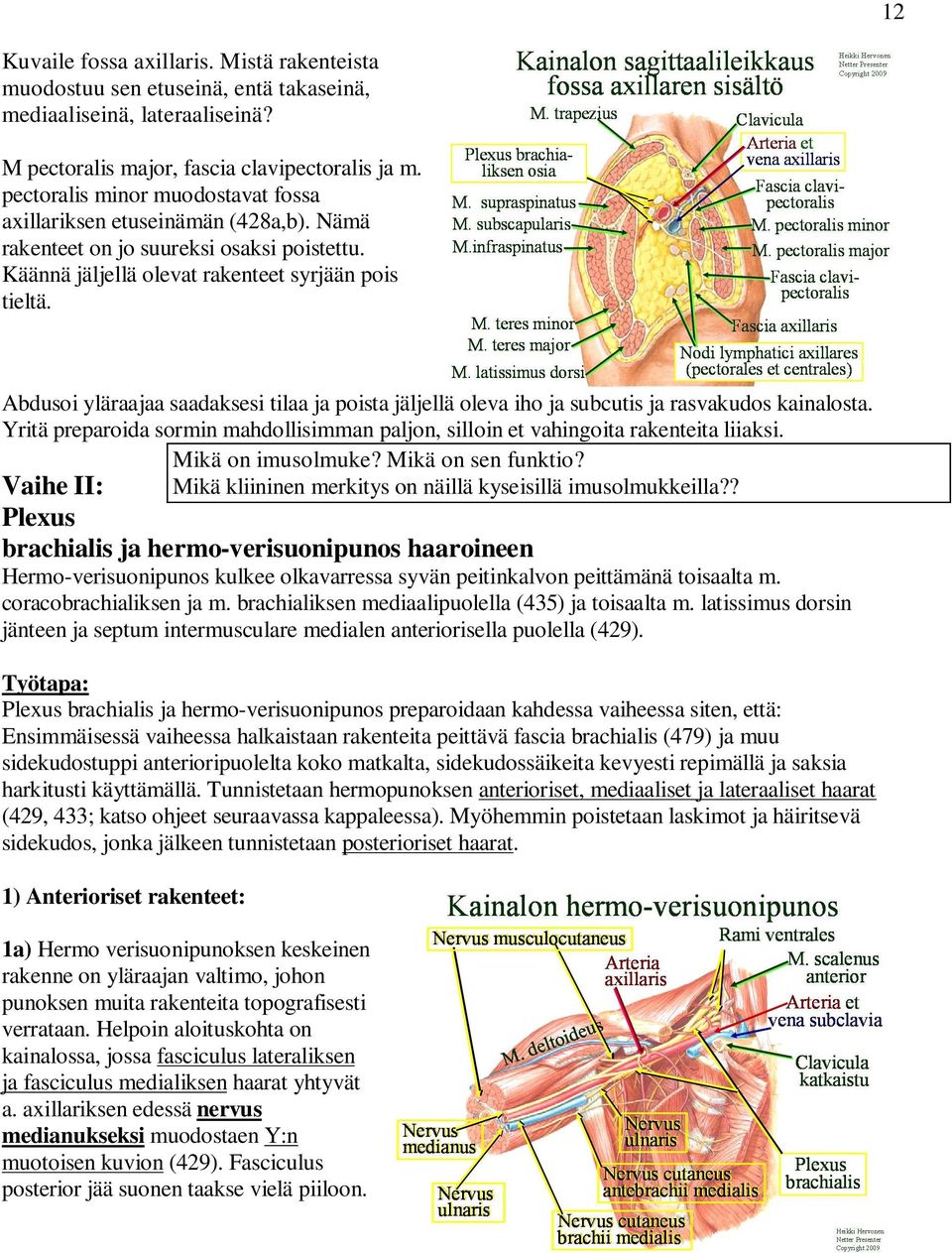 Abdusoi yläraajaa saadaksesi tilaa ja poista jäljellä oleva iho ja subcutis ja rasvakudos kainalosta. Yritä preparoida sormin mahdollisimman paljon, silloin et vahingoita rakenteita liiaksi.