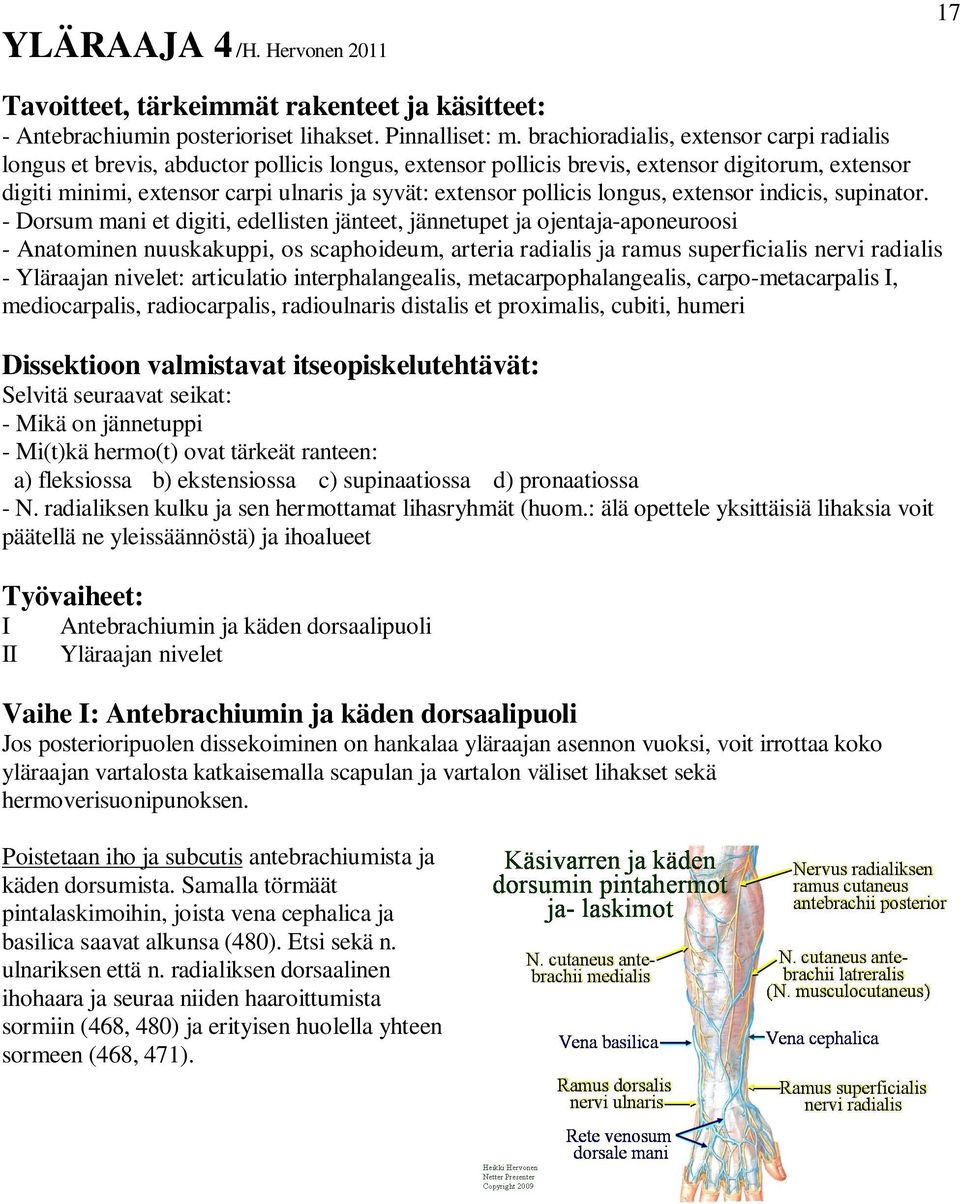 pollicis longus, extensor indicis, supinator.