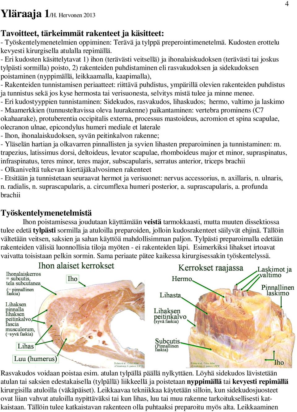 - Eri kudosten käsittelytavat 1) ihon (terävästi veitsellä) ja ihonalaiskudoksen (terävästi tai joskus tylpästi sormilla) poisto, 2) rakenteiden puhdistaminen eli rasvakudoksen ja sidekudoksen