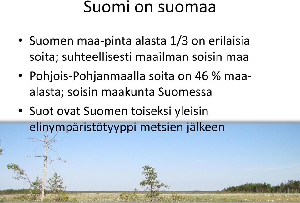 Pohjois-Pohjanmaalla soita on 46 % maaalasta; soisin