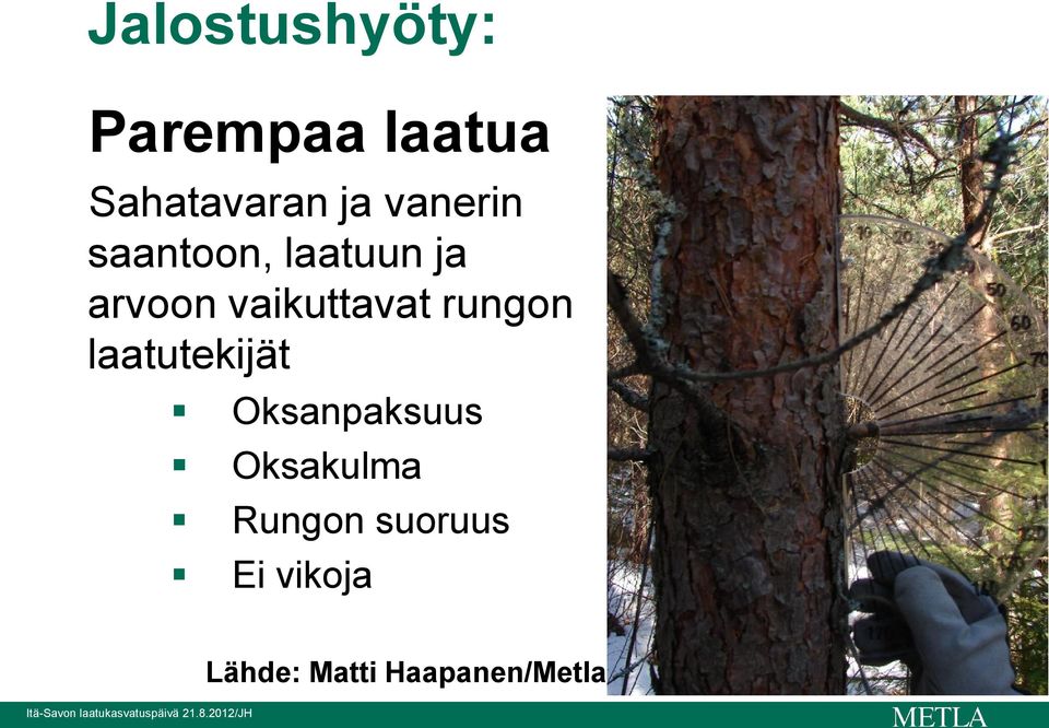 rungon laatutekijät Oksanpaksuus Oksakulma