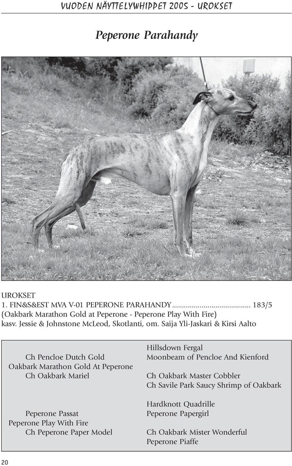 Saija Yli-Jaskari & Kirsi Aalto Ch Pencloe Dutch Gold Oakbark Marathon Gold At Peperone Ch Oakbark Mariel Peperone Passat Peperone Play With Fire Ch