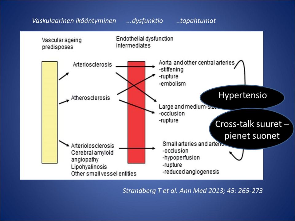 .tapahtumat Hypertensio F