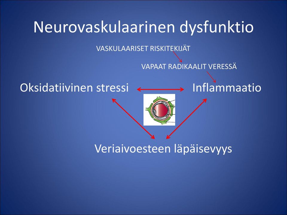 RADIKAALIT VERESSÄ Oksidatiivinen