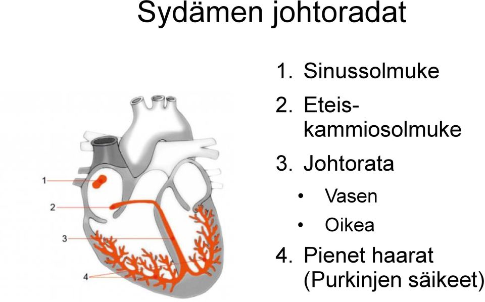 Eteiskammiosolmuke 3.