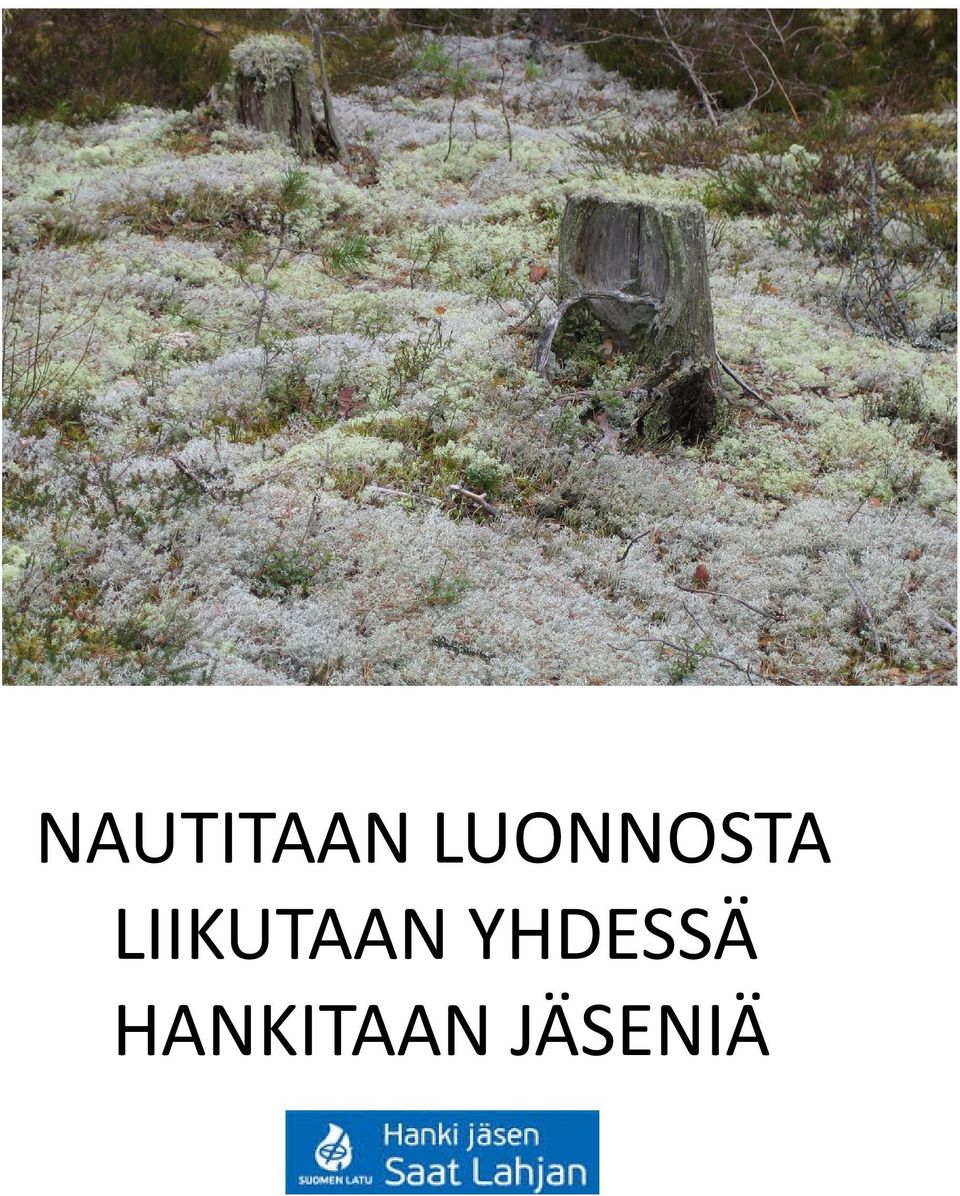 LIIKUTAAN