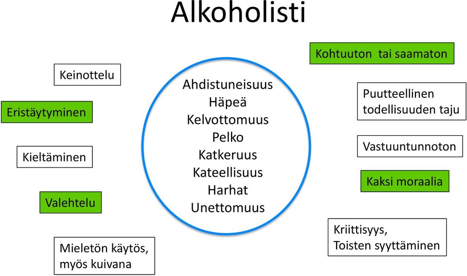 Kateellisuus Harhat Unettomuus Kohtuuton tai saamaton Puutteellinen