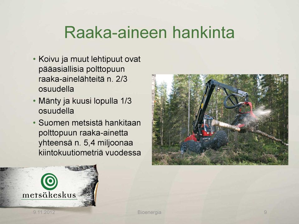 2/3 osuudella Mänty ja kuusi lopulla 1/3 osuudella Suomen metsistä
