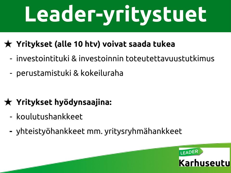 toteutettavuustutkimus - perustamistuki & kokeiluraha