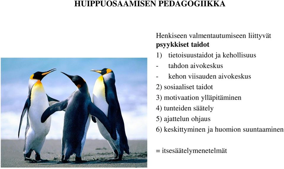 aivokeskus 2) sosiaaliset taidot 3) motivaation ylläpitäminen 4)