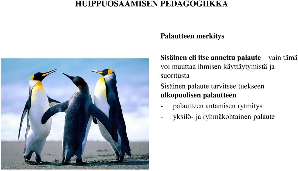 Sisäinen palaute tarvitsee tuekseen ulkopuolisen palautteen