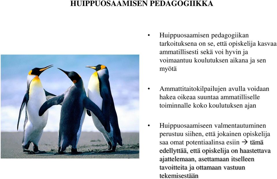 koko koulutuksen ajan Huippuosaamiseen valmentautuminen perustuu siihen, että jokainen opiskelija saa omat potentiaalinsa