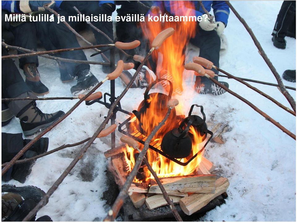 eväillä