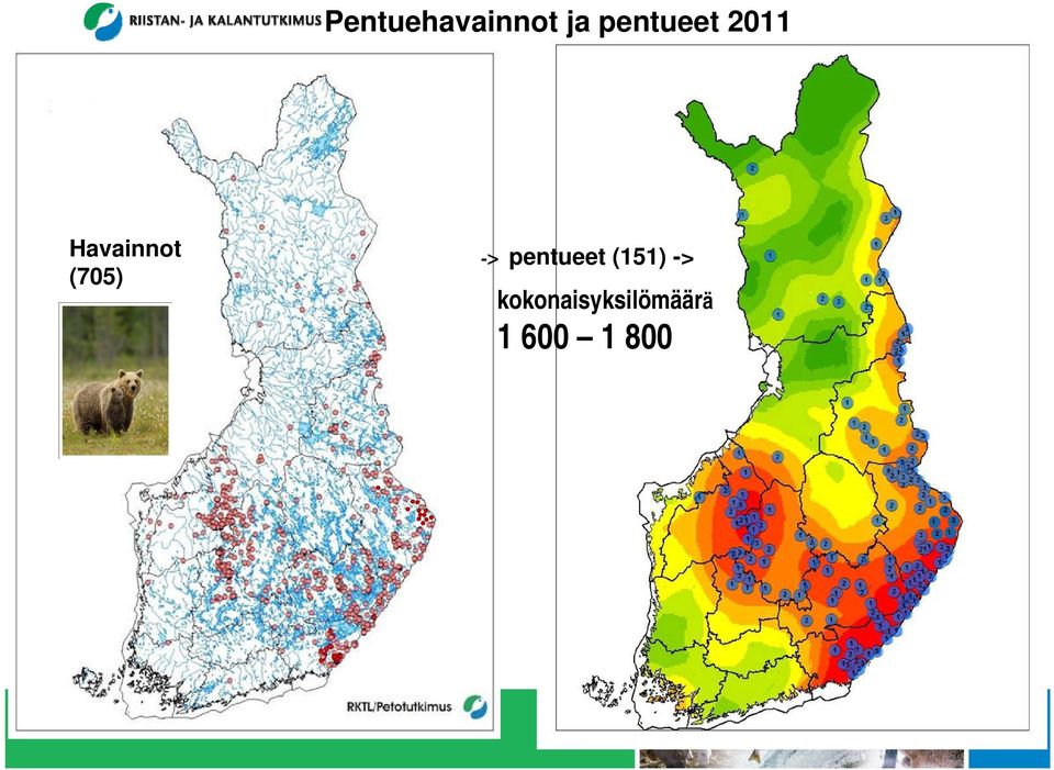 pentueet (151) ->