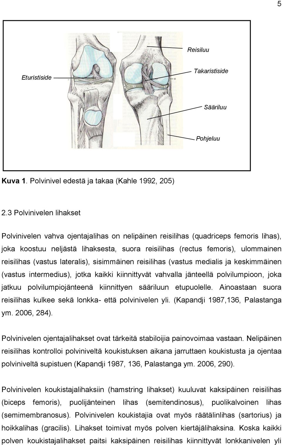 reisilihas (vastus lateralis), sisimmäinen reisilihas (vastus medialis ja keskimmäinen (vastus intermedius), jotka kaikki kiinnittyvät vahvalla jänteellä polvilumpioon, joka jatkuu