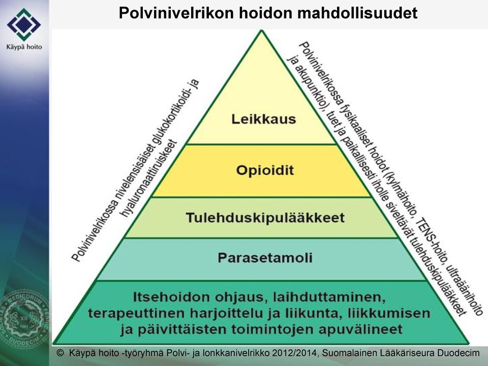 -työryhmä Polvi- ja