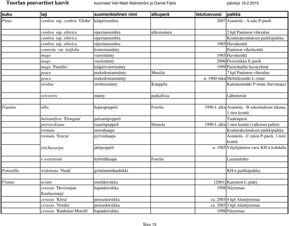 latifolia kontortamänty Panimon viherkenttä mugo vuorimänty 1985 Havukenttä mugo vuorimänty 2006 Floristiikka E-puoli mugo 'Pumilio' kääpiövuorimänty 1999 Puistohallin havuryhmä peuce makedonianmänty